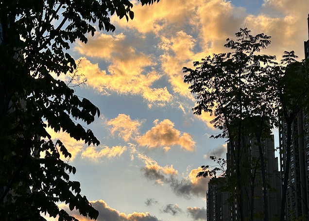 澳大利亞公司注冊申請?zhí)峤缓?，信息還能修改嗎?